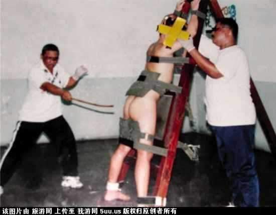 旅游网.jpg