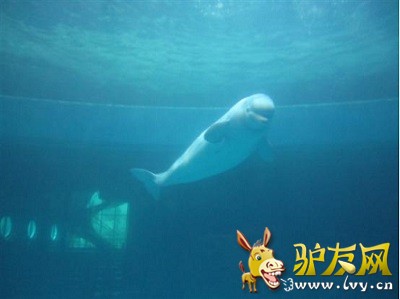 图片7.jpg